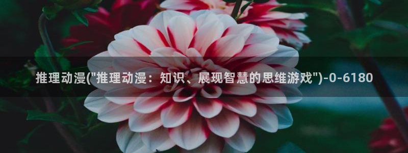 h动漫在线:推理动漫(\
